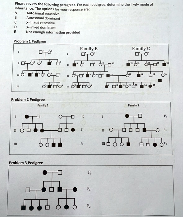 Solved Please Review The Following Pedigrees For Each Pedigree