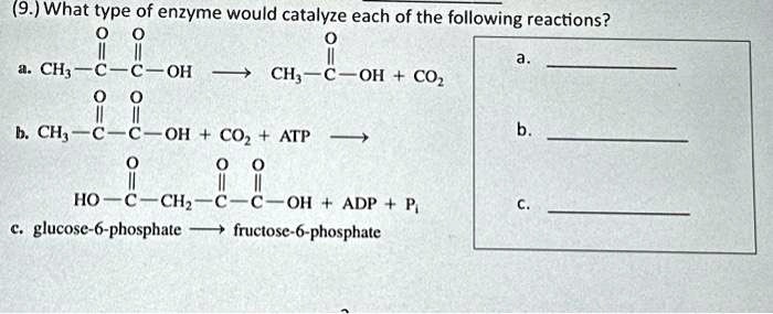 Solved What Type Of Enzyme Would Catalyze Each Of The Following