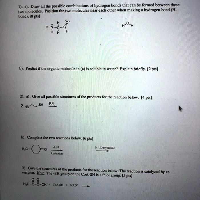 Solved A Draw All The Possible Combinations Of Hydrogen Bonds That