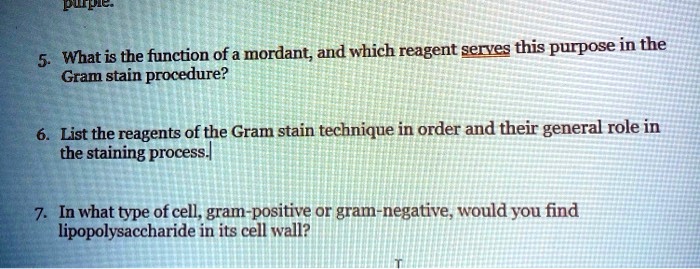 Solved What Is The Function Of A Mordant And Which Reagent Serves