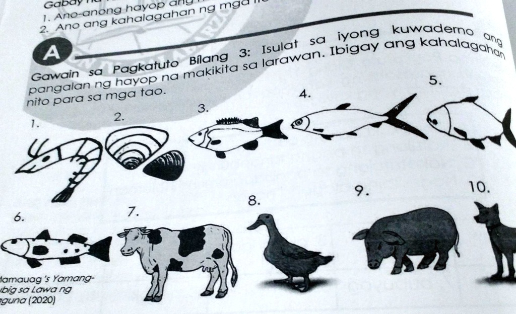 SOLVED A Gawain Sa Pagkatuto Bilang 3 Isulat Sa Iyong Kuwaderno One