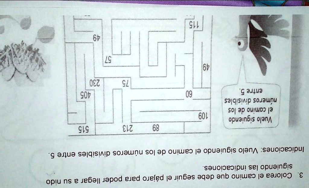 SOLVED 3 Colorea el camino que debe seguir el pájaro para poder