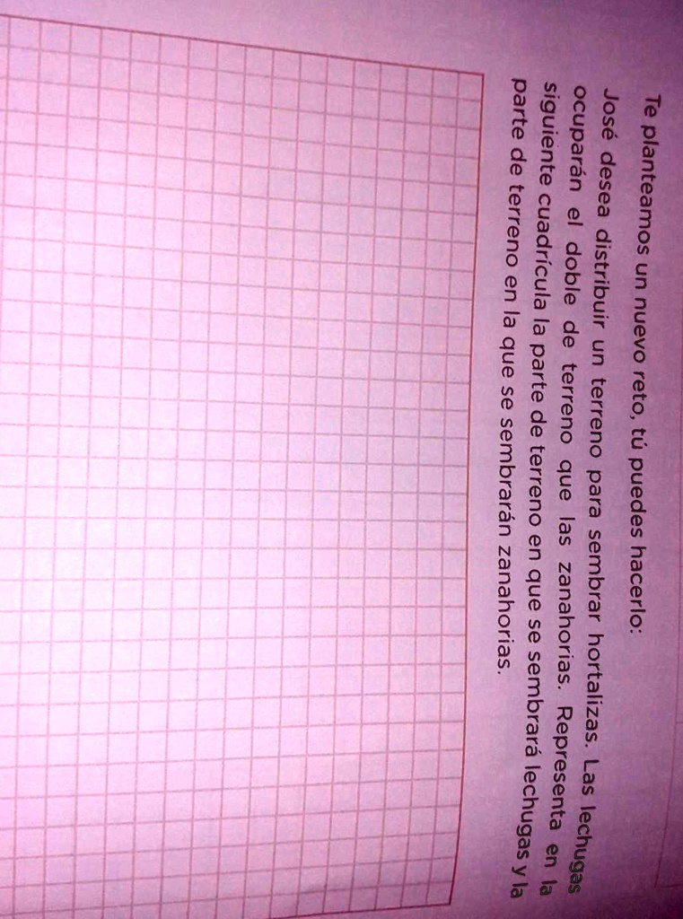 SOLVED Te planteamos un nuevo reto tu pue José desea distribuir un