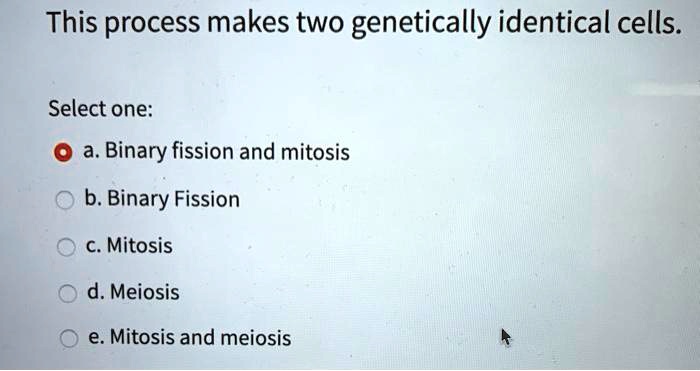 SOLVED This Process Makes Two Genetically Identical Cells Select One