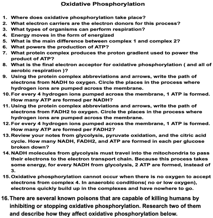 Oxidative Phosphorylation Where Does Oxidative Phosphorylation Take