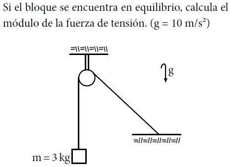 Solved Si El Bloque Se Encuentra En Equilibrio Calcula El Mdulo De