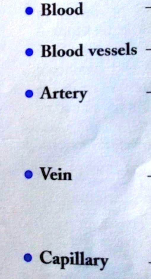 Solved Define These Terms Please Blood Blood Vessels Artery Vein