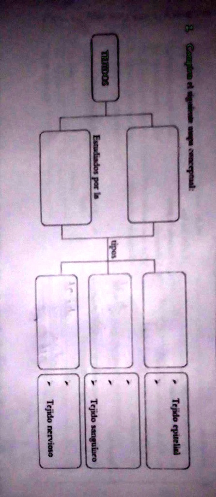 Solved Completa El Siguiente Mapa Conceptual Tejido Epitelial Tipos