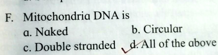 Solved Mitochondrial Dna Is F Mitochondria Dna Is A Naked B