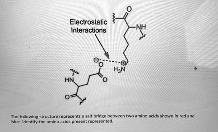 SOLVED Electrostatic Interactions The Following Structure Represents A