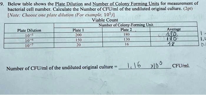 Solved What Would Be The Correct Answer For Each Cell And The Final