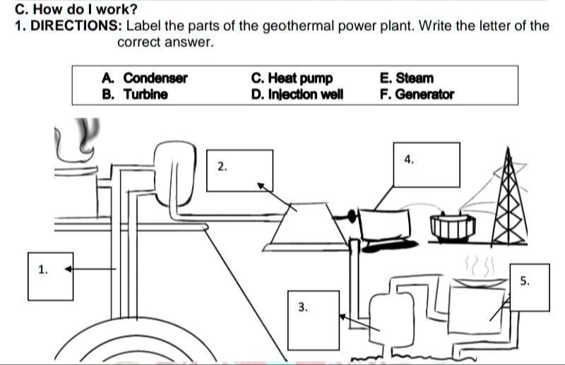 Solved Please Answer Po How Do They Work Directions Label The