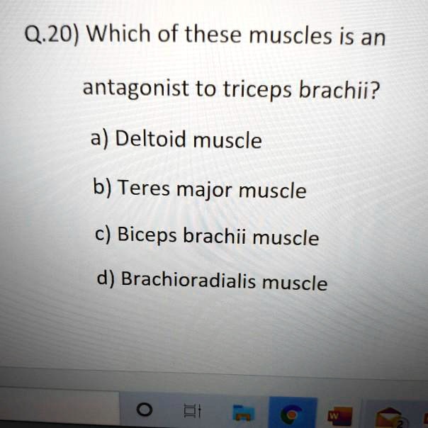 SOLVED Q 20 Which Of These Muscles Is An Antagonist To Triceps Brachii