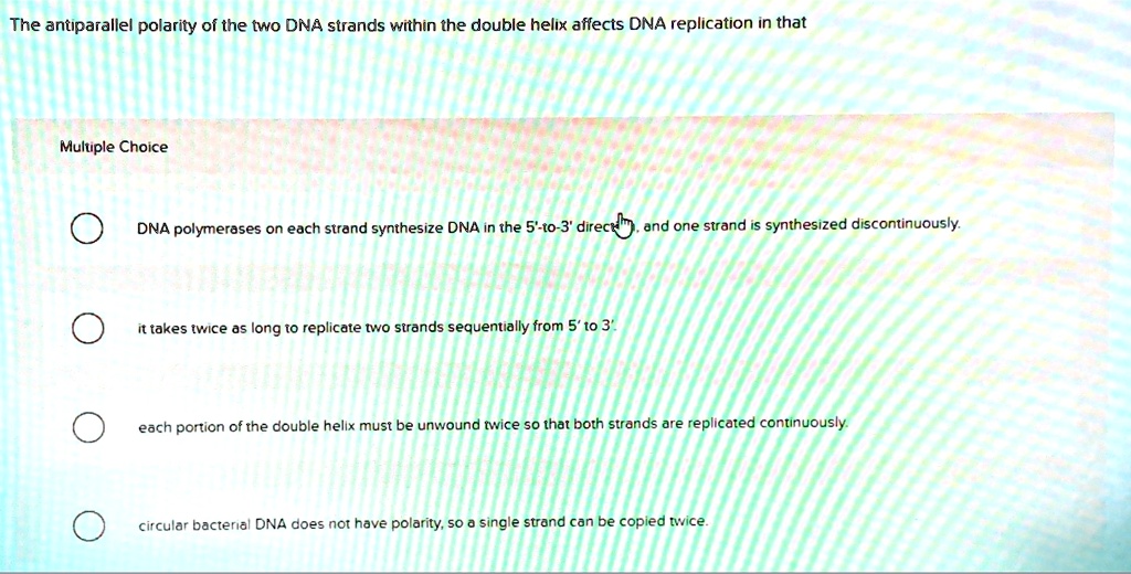 Solved The Antiparallel Polarity Of The Two Dna Strands Within The