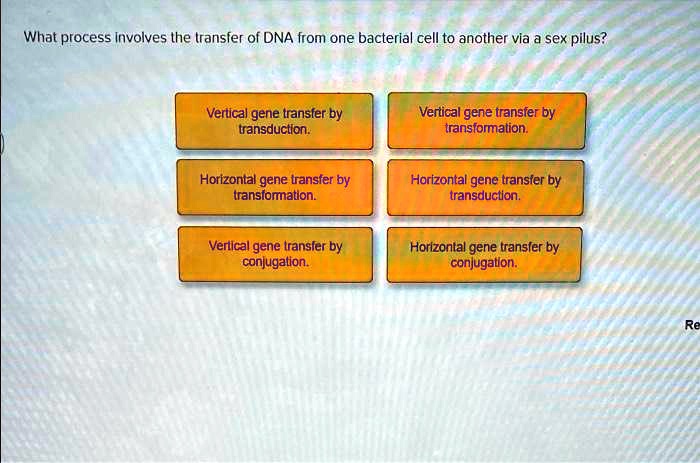 SOLVED What Process Involves The Transfer Of DNA From One Bacterial