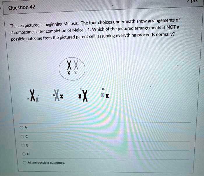 SOLVED LpLJ Question 42 Meiosis The Four Choices Underneath Show