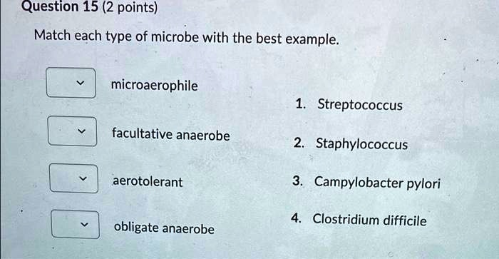 Solved Question Points Match Each Type Of Microbe With The Best