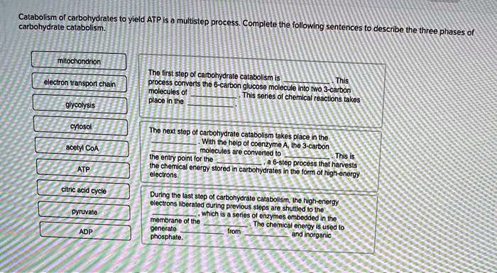 SOLVED Catabolism Of Carbohydrates To Yield ATP Is A Multistep Process