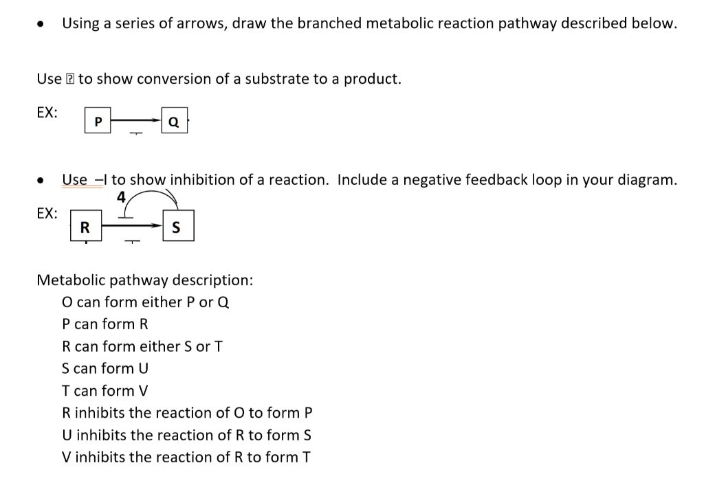 SOLVED Using A Series Of Arrows Draw The Branched Metabolic Reaction