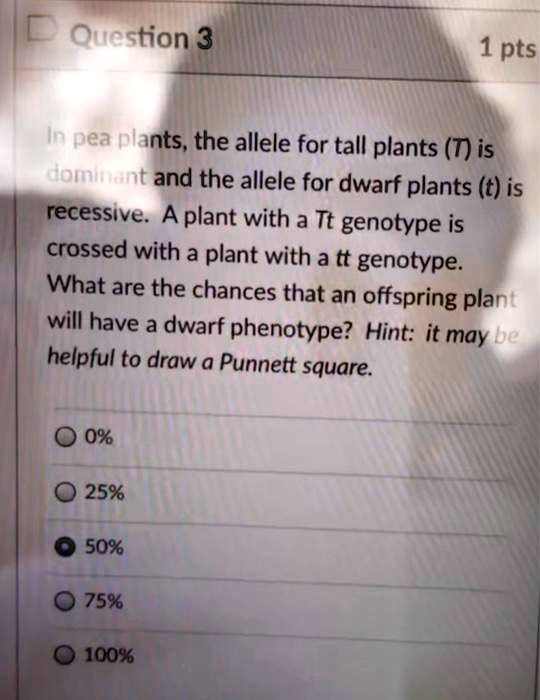 Solved Question Pts In Pea Plants The Allele For Tall Plants T