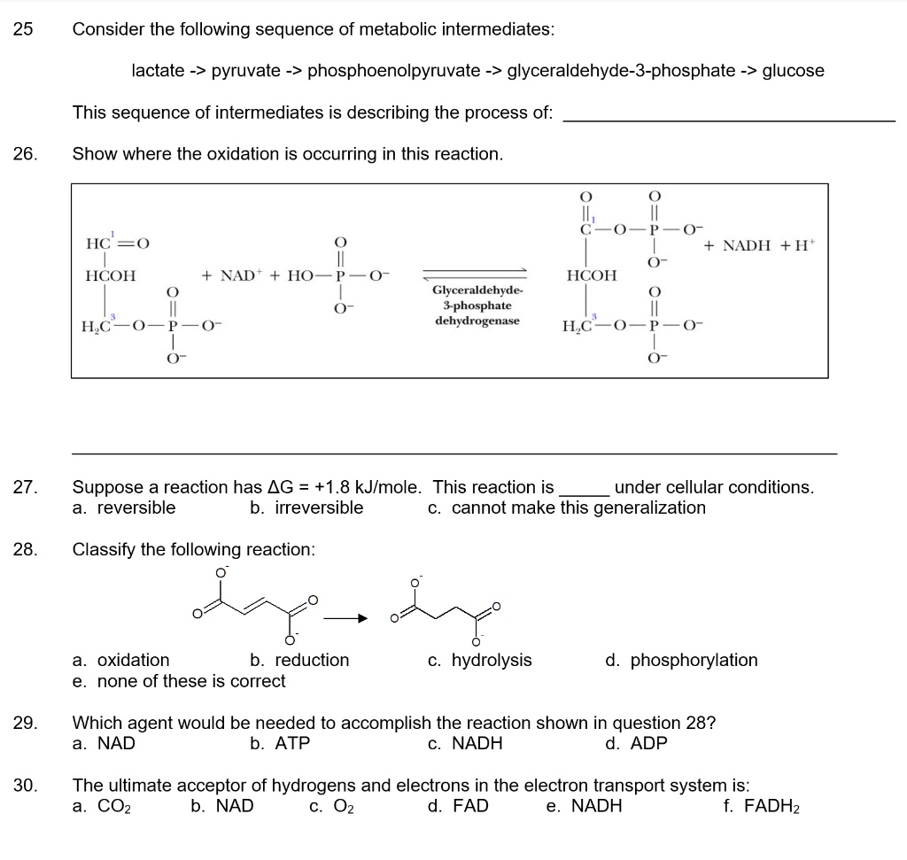 Solved Consider The Following Sequence Of Metabolic Intermediates