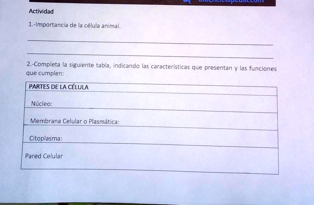 SOLVED Me Ayudan Doy La Coronita Pon Actividad 1 Importancia De La