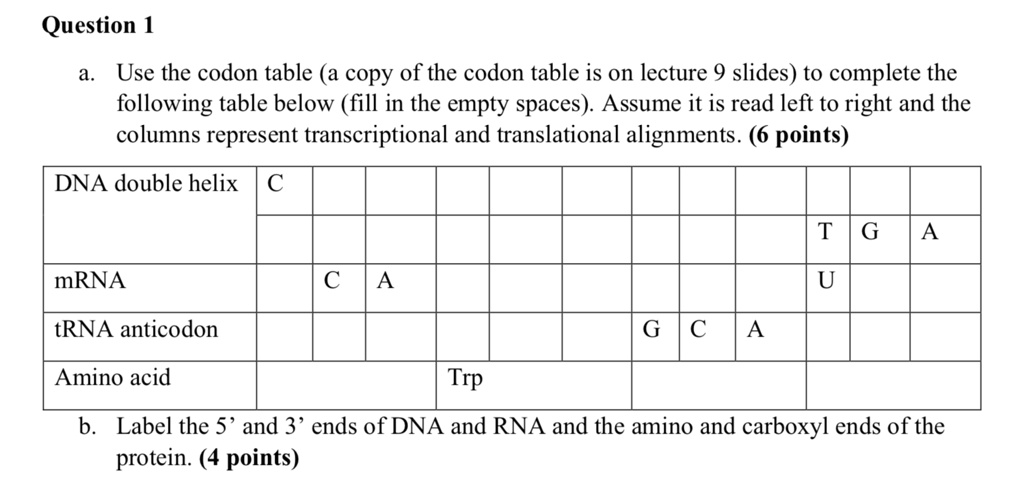 Solved Question Use The Codon Table A Copy Of The Codon Table Is On