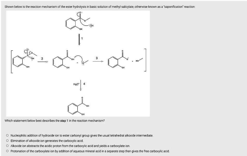 Solved Shown Below Is The Reaction Mechanism Of The Ester Hydrolysis