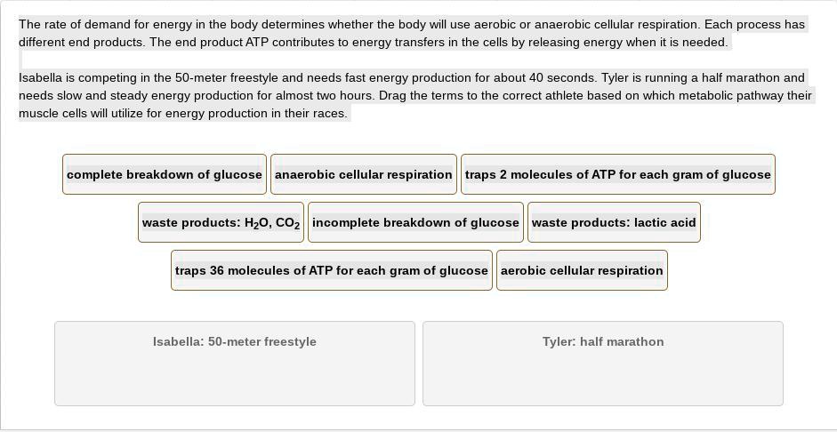 SOLVED The Rate Of Demand For Energy In The Body Determines Whether