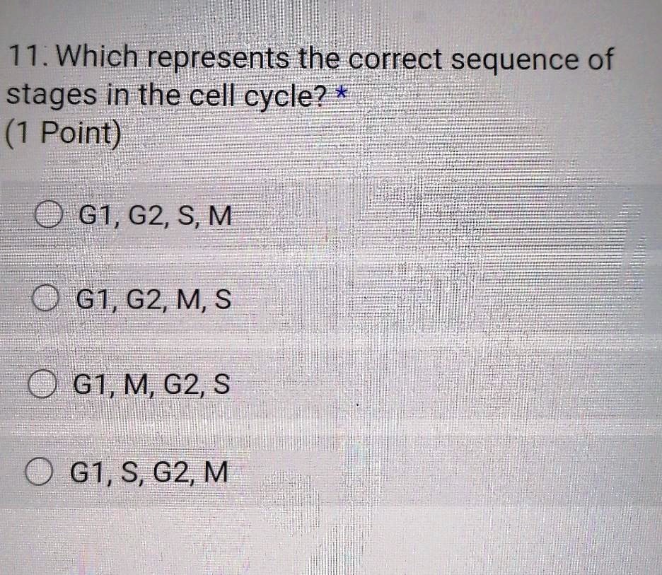 Which Represents The Correct Sequence Of Stages I Solvedlib