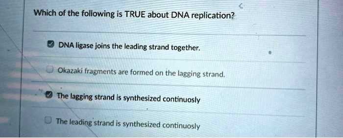 SOLVED Which Of The Following Is TRUE About DNA Replication DNA