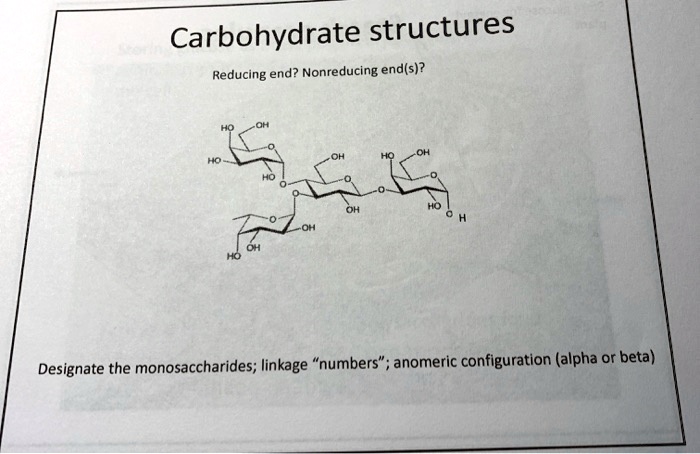 Solved Carbohydrate Structures Reducing End Nonreducing End S