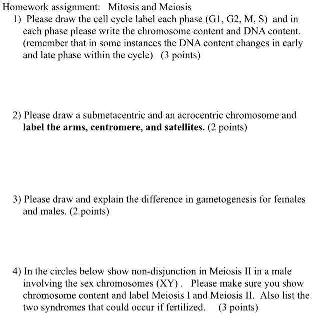 SOLVED Homework Assignment Mitosis And Meiosis 1 Please Draw The