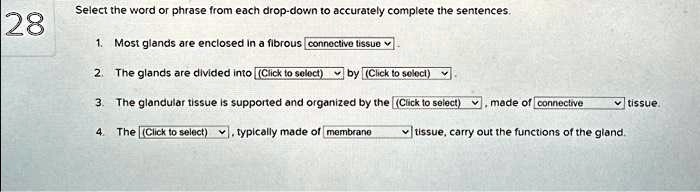 Solved Texts Select The Word Or Phrase From Each Drop Down To