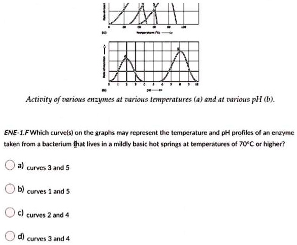 SOLVED Activity Of Various Enzymes At Various Temperatures 4 And At