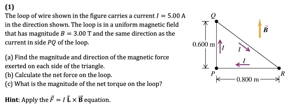 SOLVED 1 The Loop Of Wire Shown In The Figure Carries A Current 5