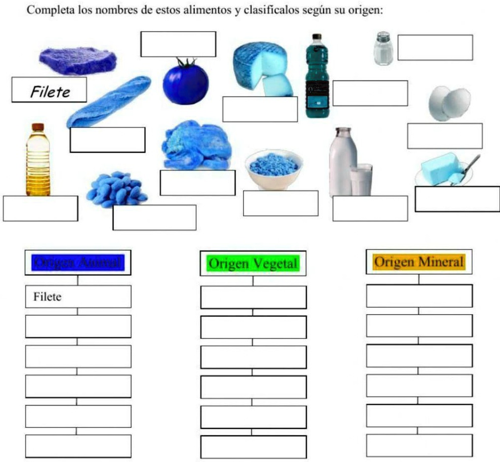 VIDEO Solution Completa Los Nombres De Estos Alimentos Y Clasificalos