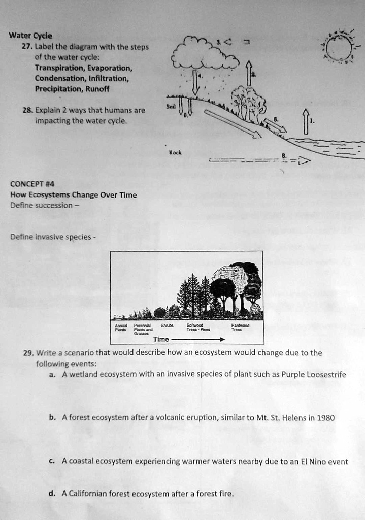 SOLVED Water Cycle Review 27 Label The Diagram With The Steps Of The