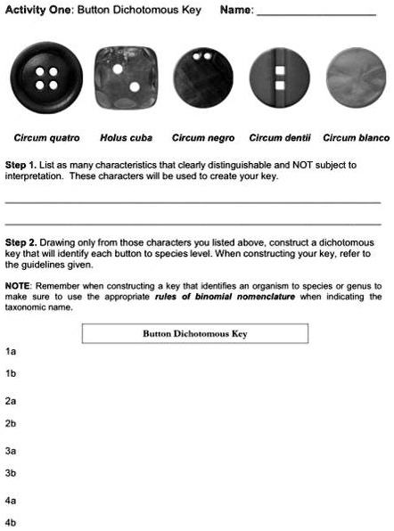 Button Dichotomous Key Activity One Button Dichotomous Key Name