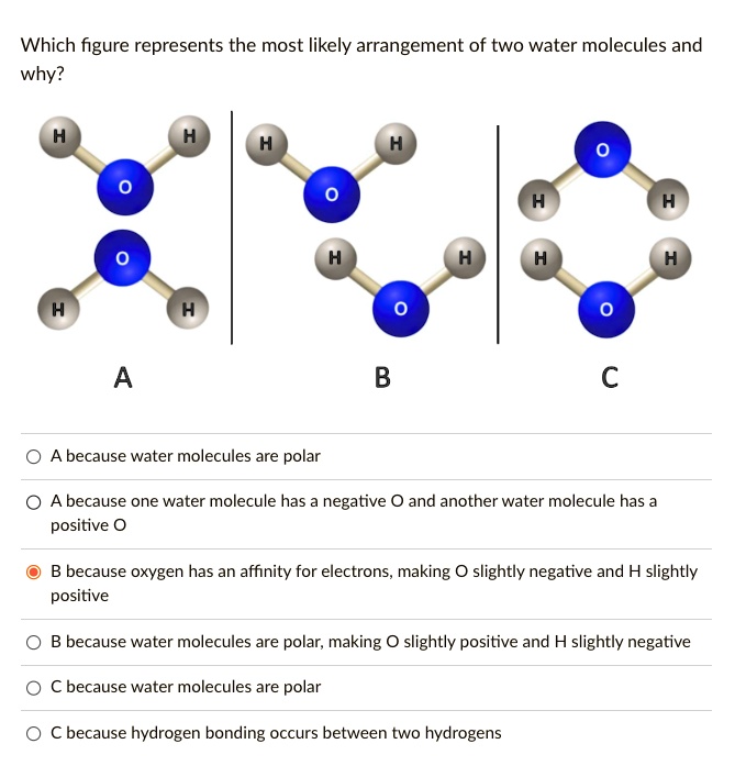 Solved Which Figure Represents The Most Likely Arrangement Of Two