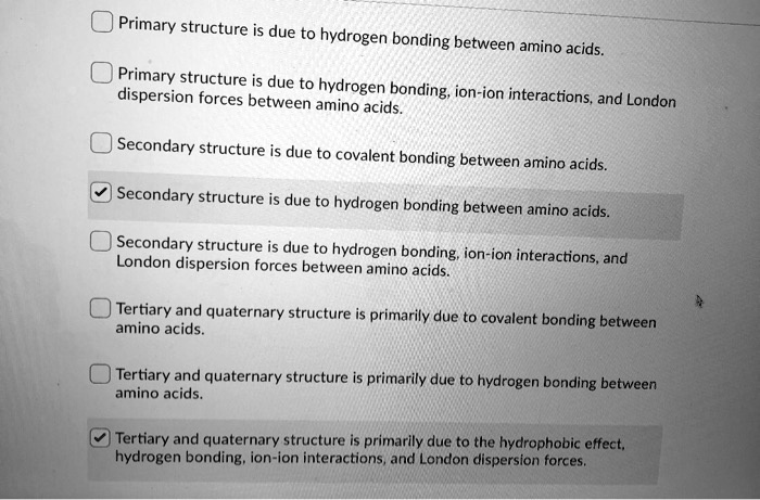 SOLVED Primary Structure Is Due Hydrogen Bonding Between Amino Acids