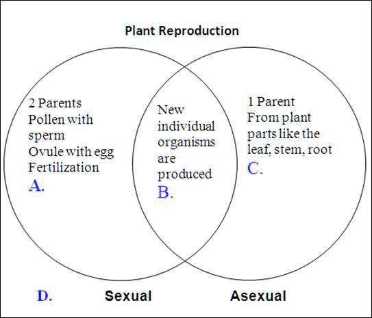 Solved Compare The Venn Diagram Of Sexual Reproduction And Asexual