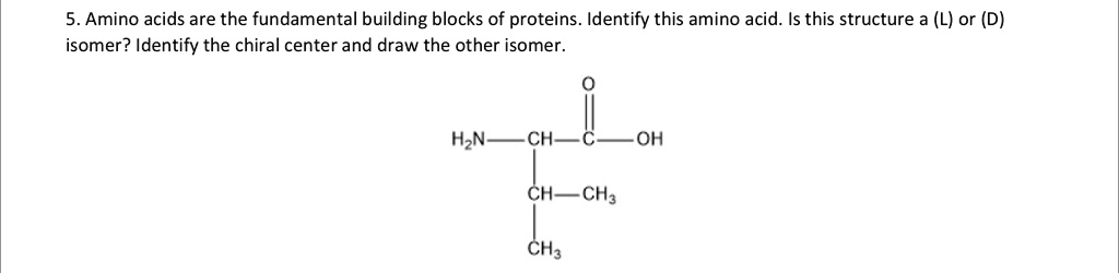 Solved Amino Acids Are The Fundamental Building Blocks Of Proteins