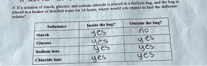 Solved Are My Answers Correct Placed In A Dialysis Bag And The Bag