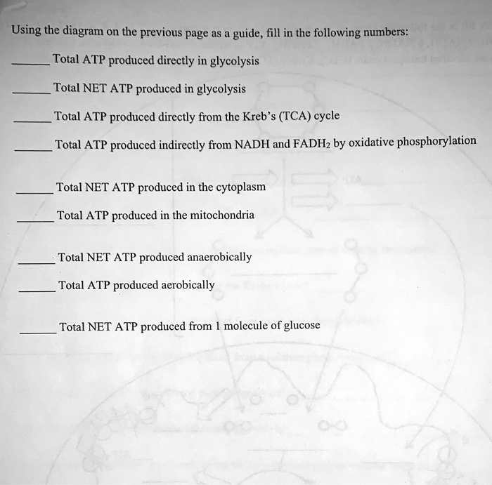 Using The Diagram On The Previous Page As Guide Fill In The Following