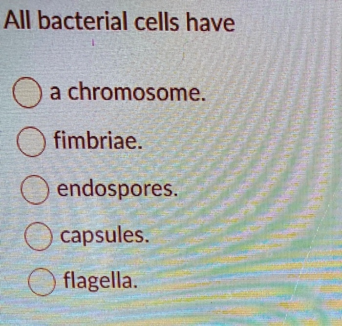 SOLVED AII Bacterial Cells Have N A Chromosome N Fimbriae N Endospores Capsules N Flagella