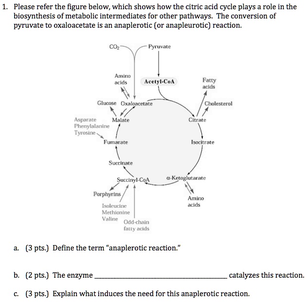 Solved Please Refer The Figure Below Which Shows How The Citric Acid