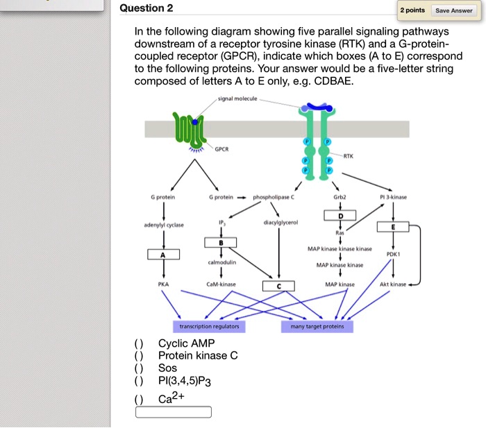 SOLVED Question 2 Points EVc Enecr In The Following Diagram Showing