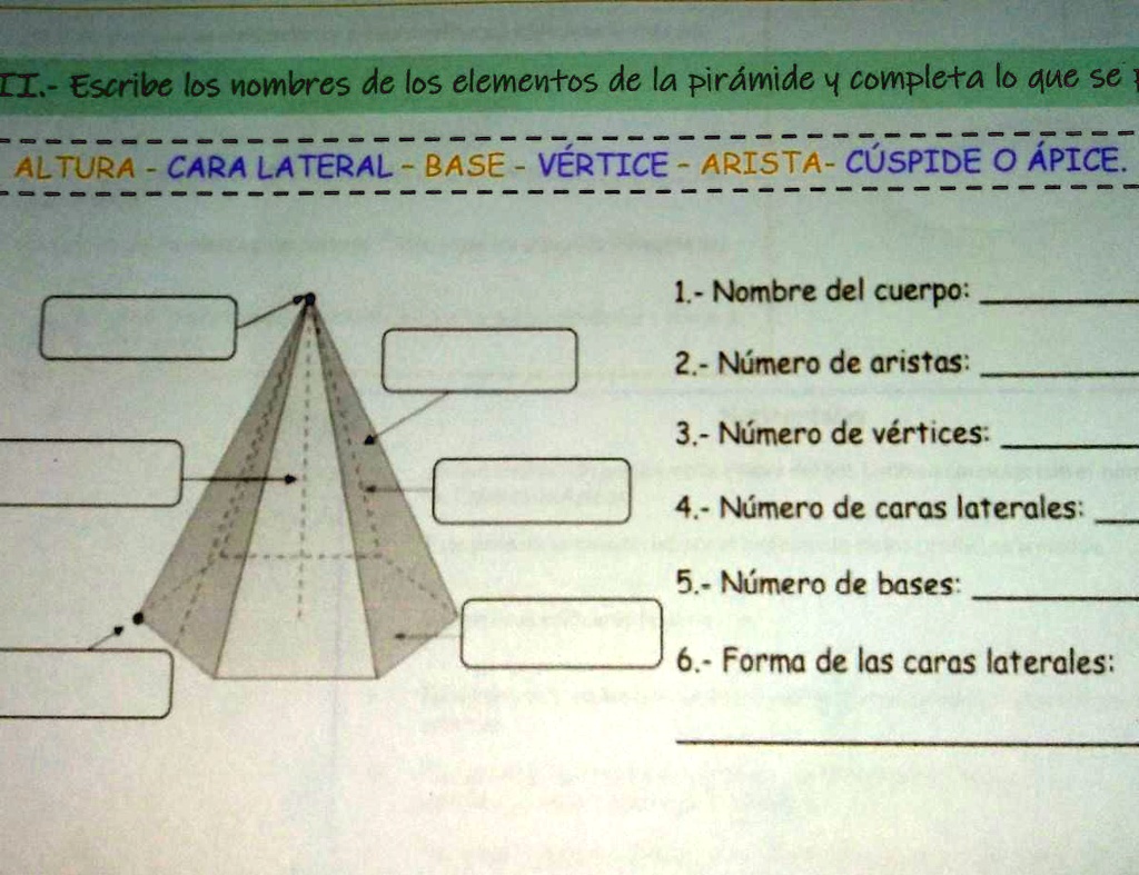 Solved Escribe El Nombre De Los Elementos De La Pir Mide Y Completa Lo