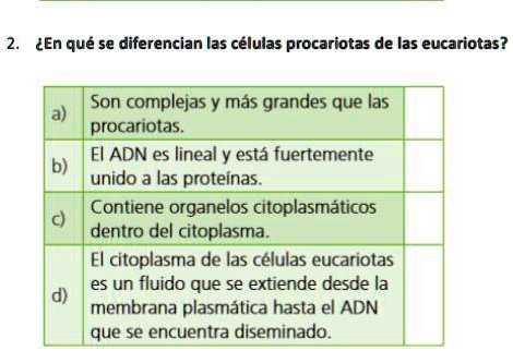 Solved Ay Deme Con Esta Pregunta Por Favor Amig S En Qu Se